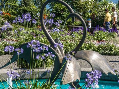 Tagesausflug zur Blumeninsel Mainau