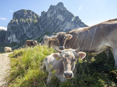 Alpwirtschaft